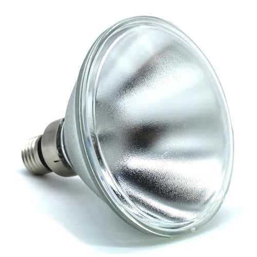 enviro Light Spot 120W 24V Strahlerbirne